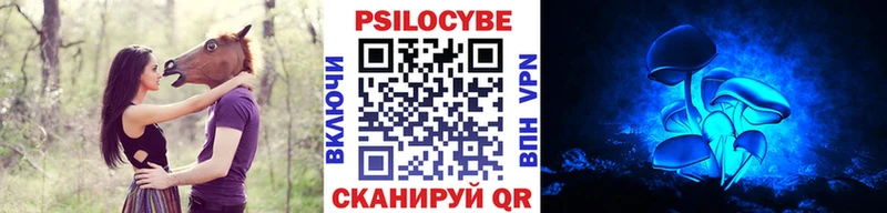 Псилоцибиновые грибы Psilocybine cubensis  блэк спрут вход  Бодайбо 