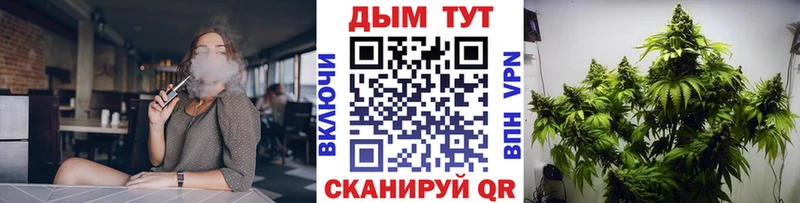 кракен как войти  Бодайбо  Каннабис Amnesia 